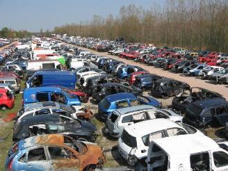 rozbiórka samochody osobowe Lancia Musa  2008/5