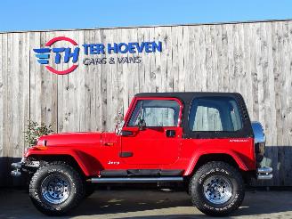 damaged other Jeep Wrangler YJ 4.0L 4X4 2-Persoons Lier 136KW 1994/1