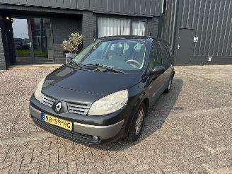 Renault Grand-scenic 2.0-16v 7-persoons picture 1